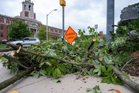 Storm debris cleared from street