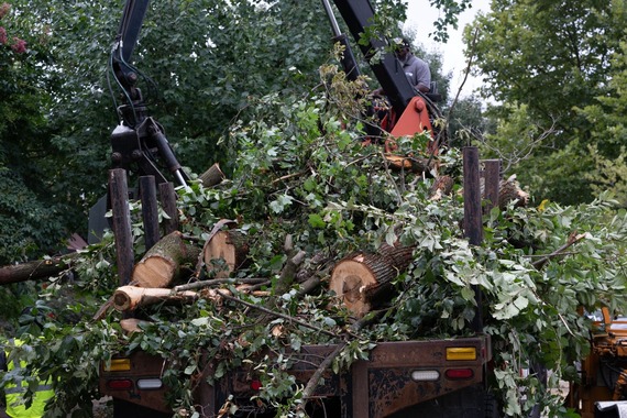 Equipment helping to remove storm debris